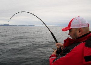 IMG_2020-800x573