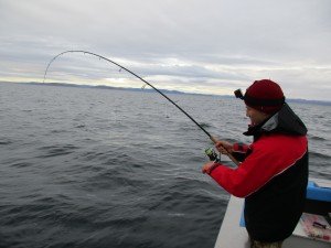 IMG_2025