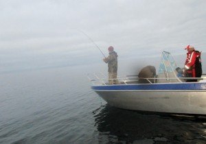 IMG_2082-800x559