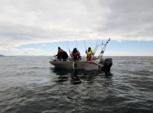 IMG_2095-800x589