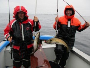 IMG_2115-Copy-800x600