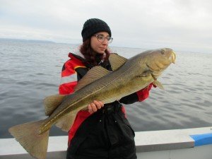 IMG_2127-800x600