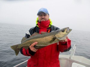 IMG_2176-800x600