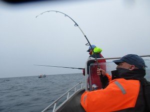 IMG_2179-800x600