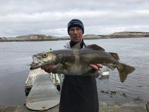 IMG_4178