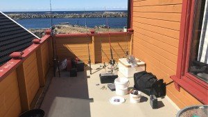 IMG_4730