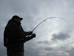 IMG_5641
