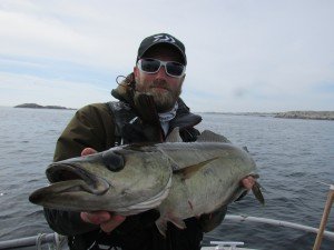 IMG_5677-1