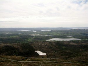 IMG_8324-800x599