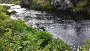 20170618_165630
