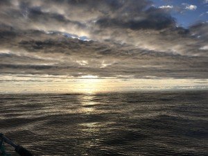 IMG_1305