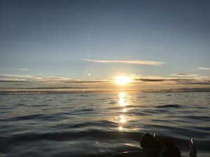 IMG_1317