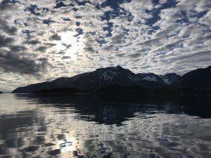 IMG_1334-1