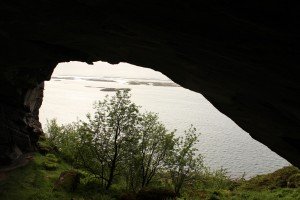 IMG_1349