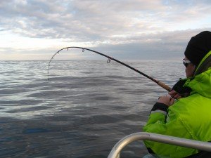 IMG_1718