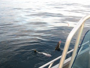 IMG_1721