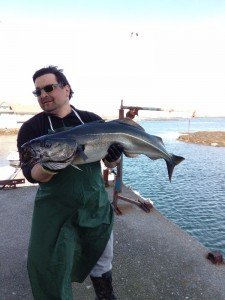 IMG_20170602_112158