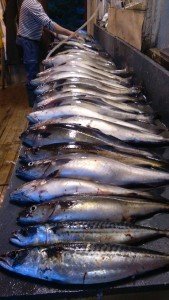 IMG_20170606_234528