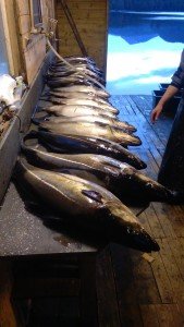 IMG_20170606_234604