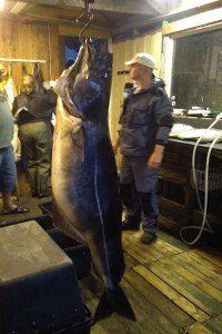 IMG_20170610_235545