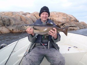 IMG_20170611_195308