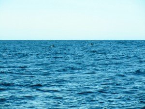 IMG_2213-800x599