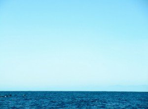 IMG_2214-800x592