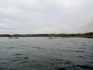 IMG_2235-800x599