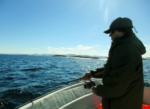 IMG_2249-800x583