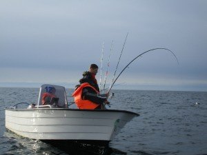 IMG_2262-800x600