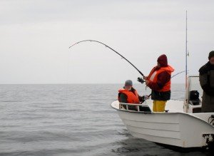 IMG_2304-800x583
