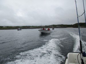 IMG_2318-800x600