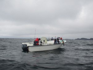 IMG_2331