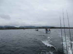 IMG_2334-800x600