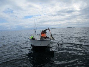 IMG_2363-800x600