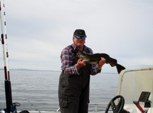 IMG_2371-800x591