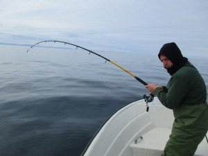 IMG_2439-800x600