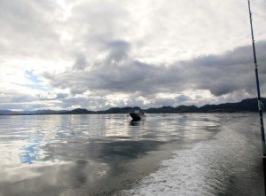 IMG_2495-800x590