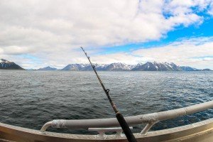IMG_6366-1