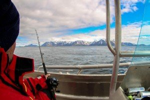 IMG_6374-1