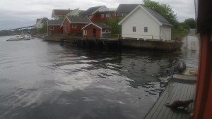 Kvernhusvika