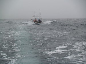 P7067582