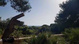 20170709_173824