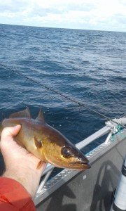 20170714_132433-768x1280