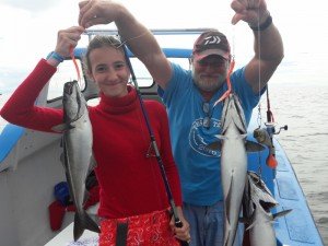 20170730_142638-800x600-2