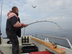 DSC00807-800x600