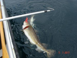 DSC00811-800x600