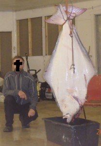 HLBBezemě