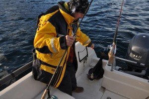 Halibut-2