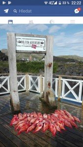 IMG-20170709-WA0023